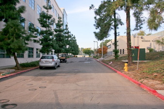 Enlarge photo 249