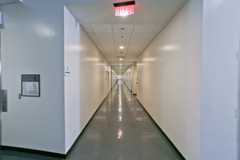 Enlarge photo 259