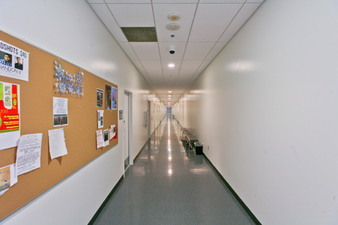 Enlarge photo 262