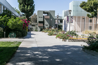 Enlarge photo 20