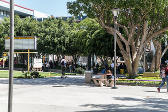 Enlarge photo 31