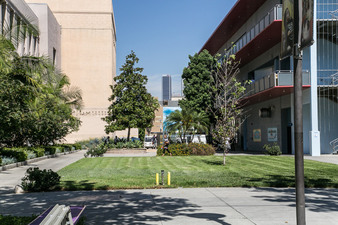 Enlarge photo 33