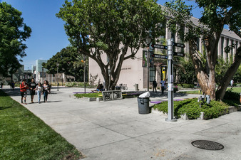 Enlarge photo 36
