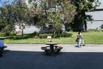 Enlarge photo 44