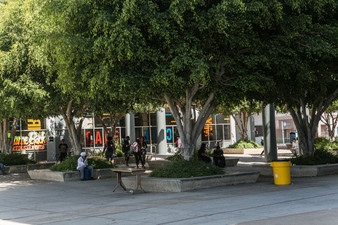 Enlarge photo 52