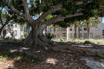 Enlarge photo 60