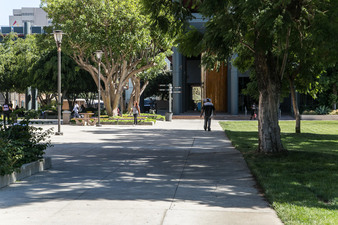 Enlarge photo 61