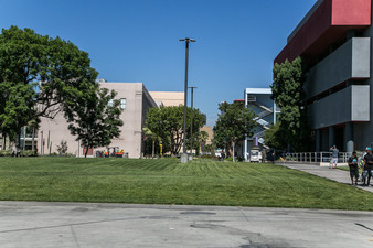Enlarge photo 65