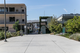 Enlarge photo 71