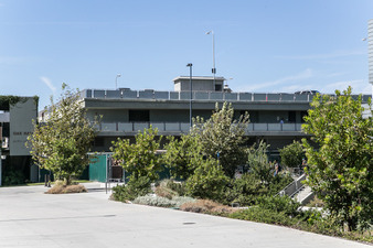 Enlarge photo 72