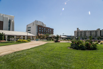 Enlarge photo 77