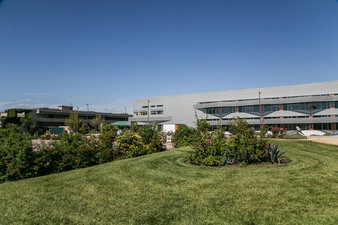 Enlarge photo 84