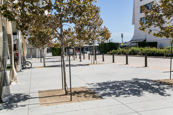 Enlarge photo 91