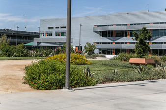 Enlarge photo 96