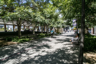Enlarge photo 99