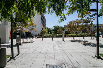 Enlarge photo 103
