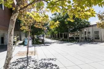 Enlarge photo 105