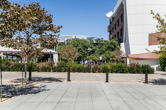 Enlarge photo 113