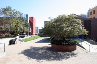 Enlarge photo 16