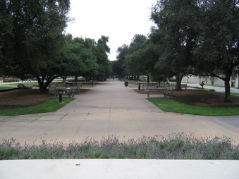 Enlarge photo 45