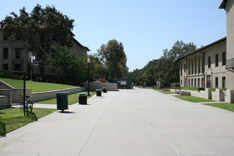 Enlarge photo 54