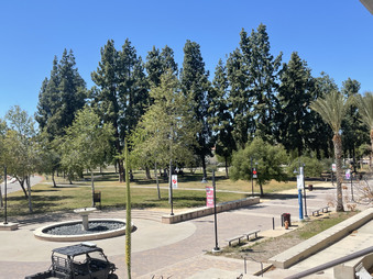 Enlarge photo 43