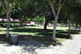 Enlarge photo 35