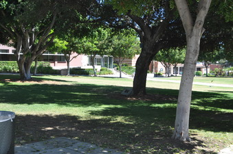 Enlarge photo 36