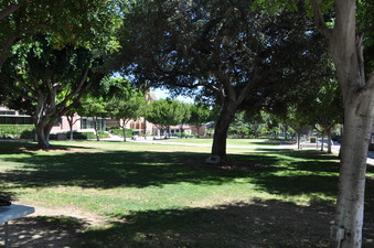Enlarge photo 37