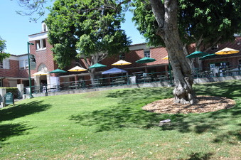Enlarge photo 39