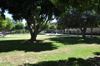 Enlarge photo 40