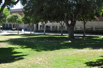 Enlarge photo 41