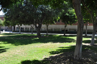 Enlarge photo 42
