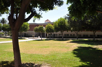 Enlarge photo 43