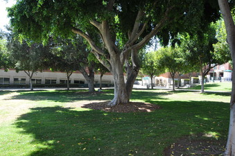 Enlarge photo 44