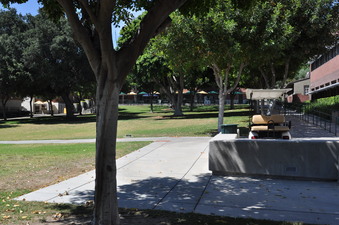 Enlarge photo 45