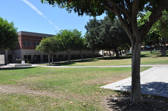 Enlarge photo 46