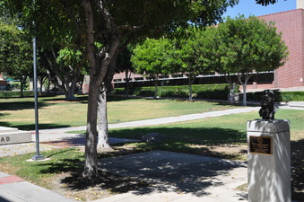 Enlarge photo 47