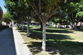 Enlarge photo 49
