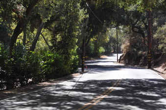 CARLISLE ROAD