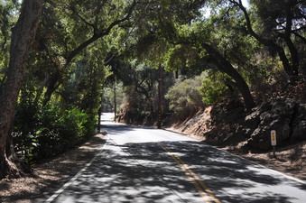 Enlarge photo 7