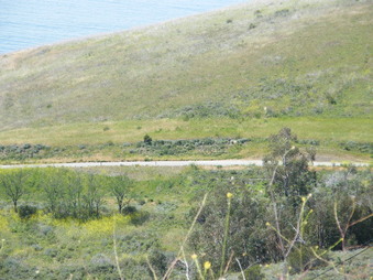 Enlarge photo 3
