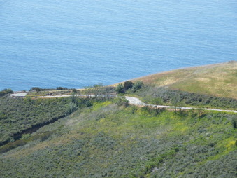 Enlarge photo 6