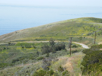 Enlarge photo 8