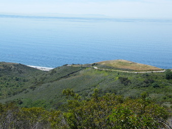 Enlarge photo 10