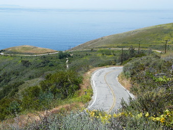Enlarge photo 13