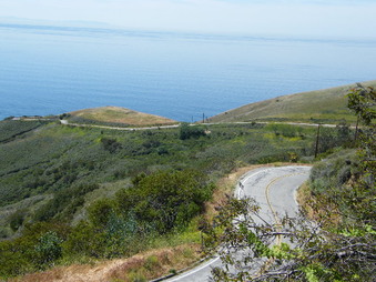 Enlarge photo 14
