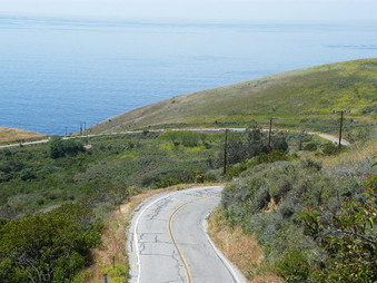 Enlarge photo 16