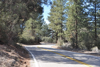 Enlarge photo 4
