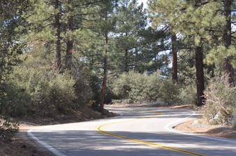 Enlarge photo 9